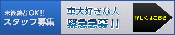 スタッフ募集　車大好きな人　緊急急募!!